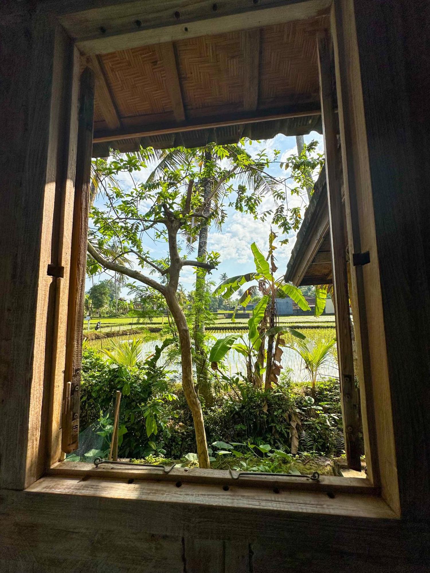 Nunu Bali Eco Friendly Retreat Hotel Canggu  Ngoại thất bức ảnh