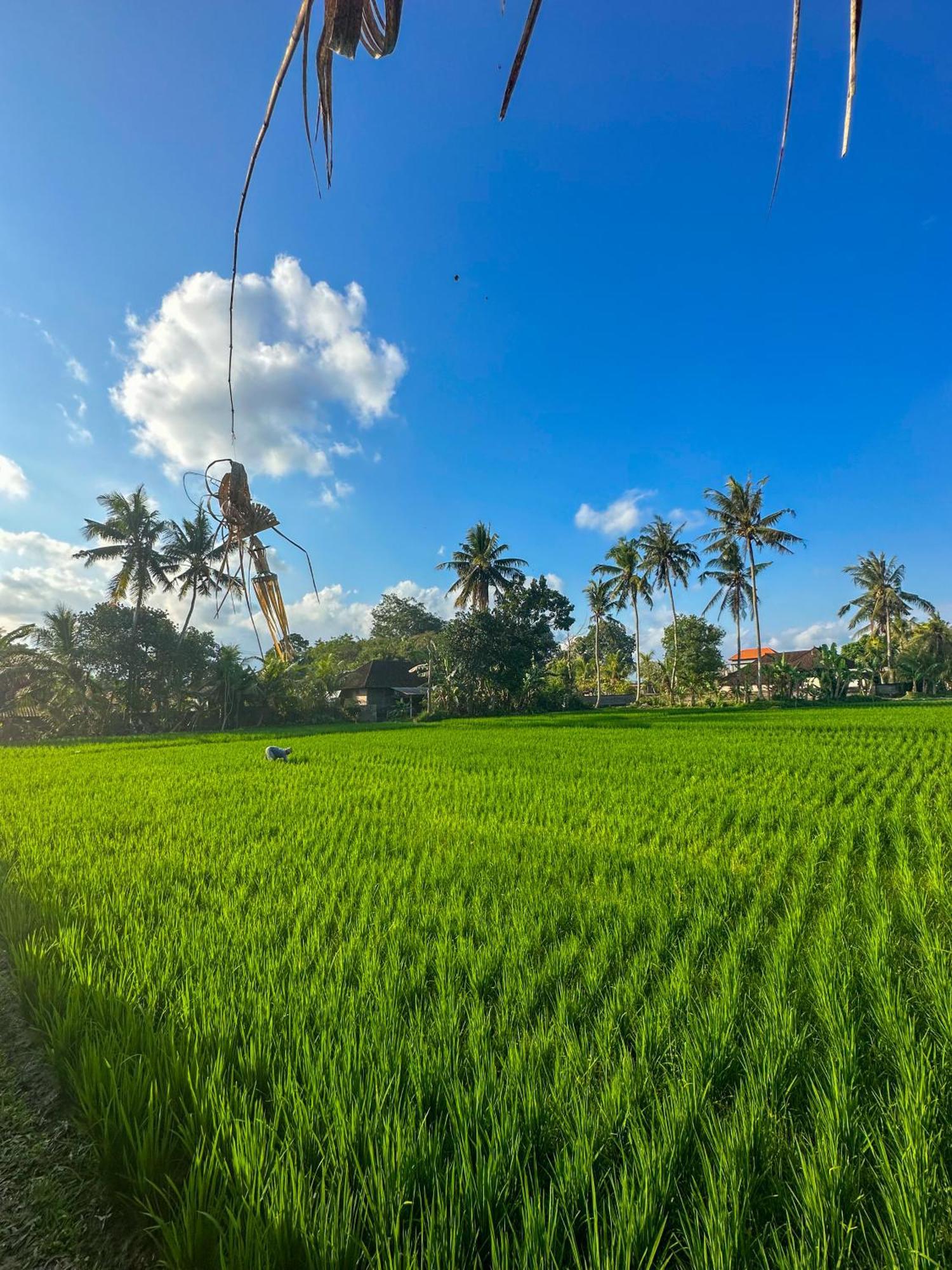 Nunu Bali Eco Friendly Retreat Hotel Canggu  Ngoại thất bức ảnh